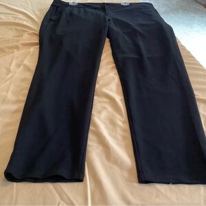 Eileen Fisher Midnight Black Pants XL tall